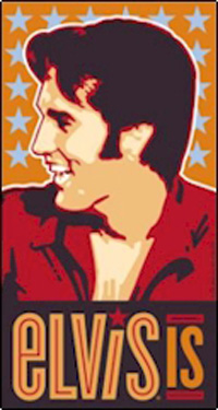 elvisis(15K)
