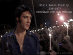 wallpaperagosto2008t.jpg (15K)