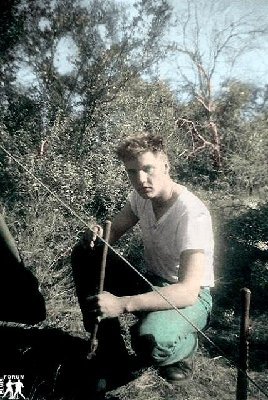 1959farbecool1.jpg