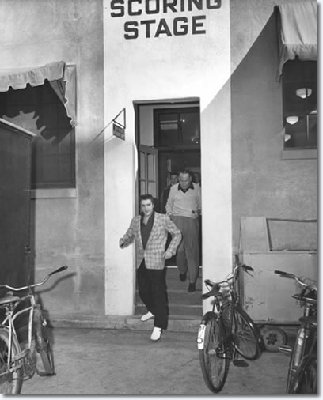 bike_elvis_2_408.jpg