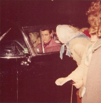 elvis50scolorida.jpg